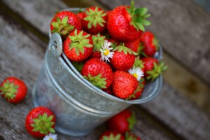 Erdbeeren © pixabay congerdesign