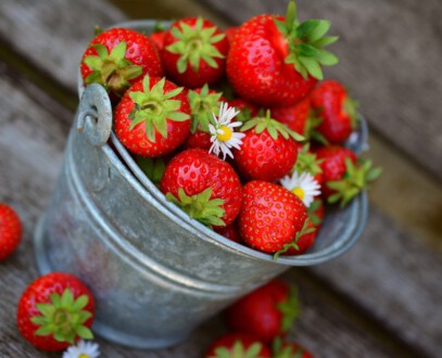 Erdbeeren © pixabay congerdesign